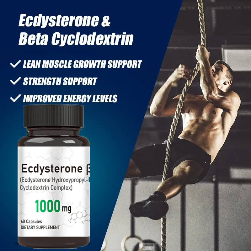 Ecdysterone Capsules Hydroxypropyl Cyclodextrin Complex Ecdysterone Powder Capsules 98% Ecdysterone